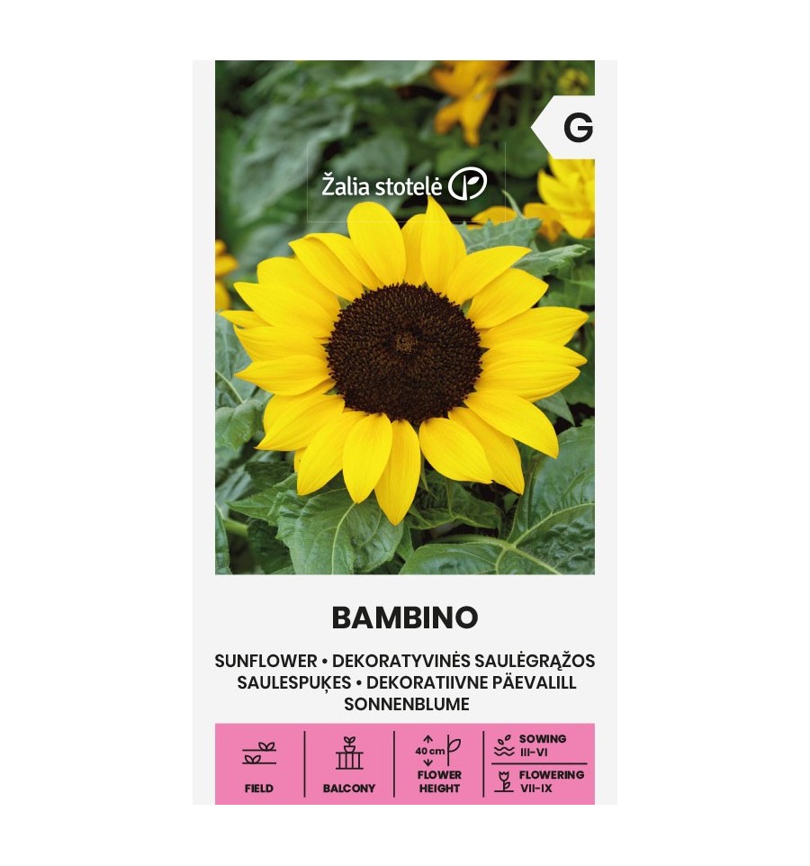 SUNFLOWER BAMBINO
