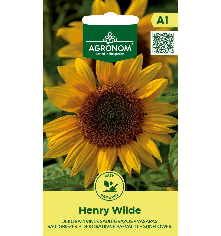 SUNFLOWER HENRY WILDE