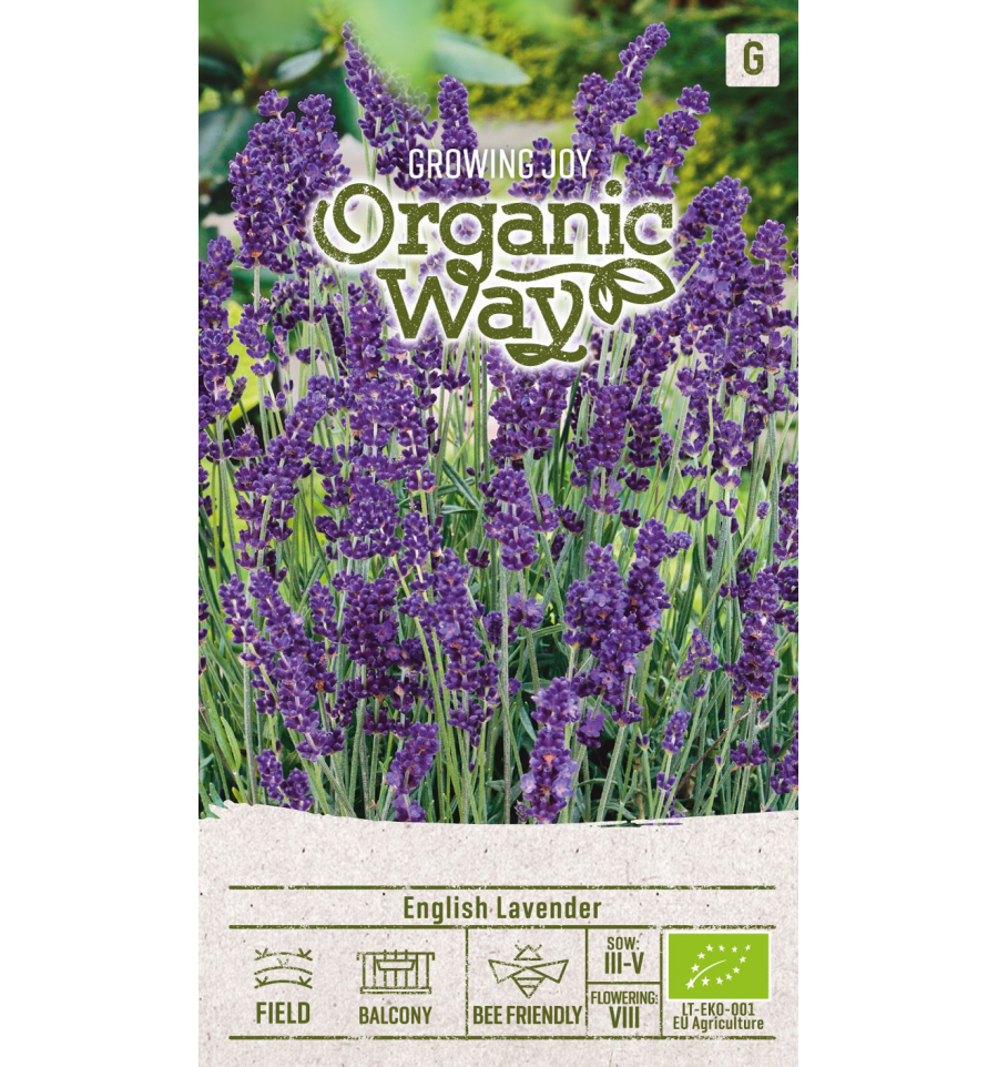 ENGLISH LAVENDER ENGLISH