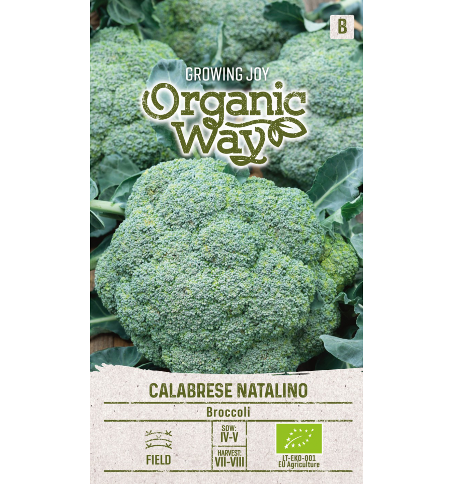 BROCCOLI CALABRESE NATALINO
