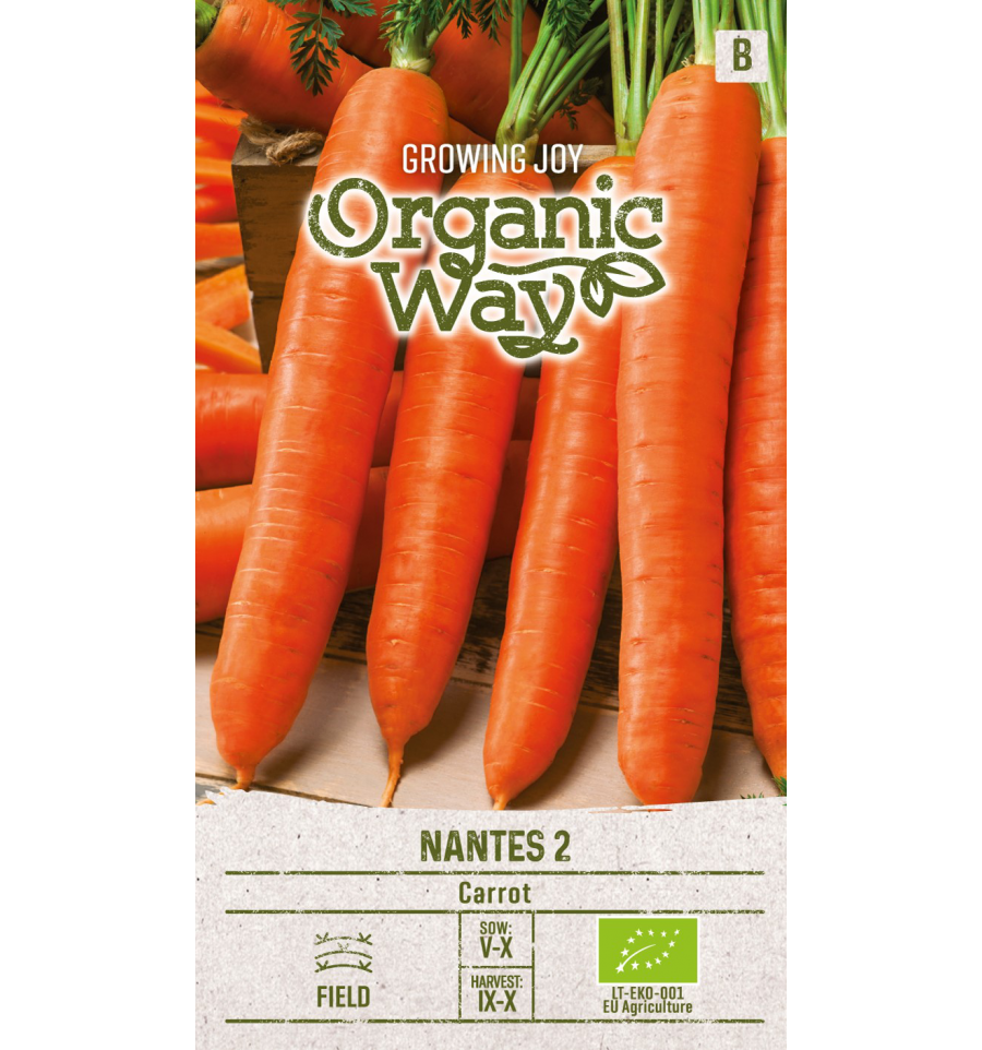 CARROT NANTES 2
