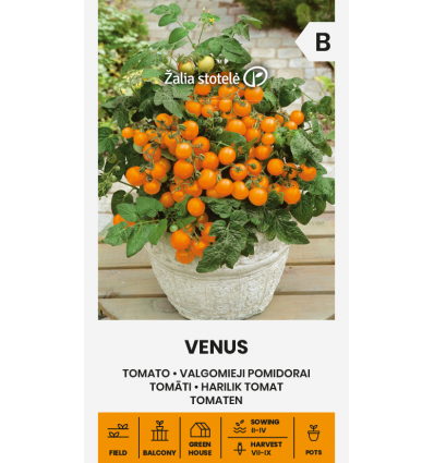 TOMATO VENUS
