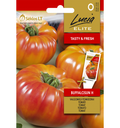 TOMATO BUFFALOSUN H