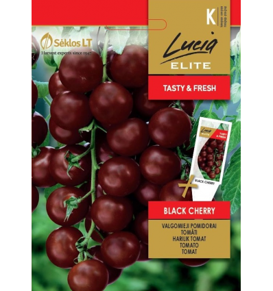 TOMATO BLACK CHERRY