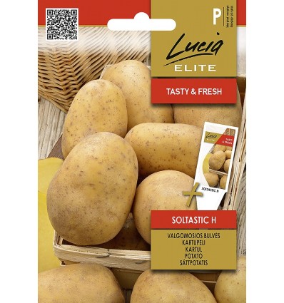 POTATO SOLTASTIC H