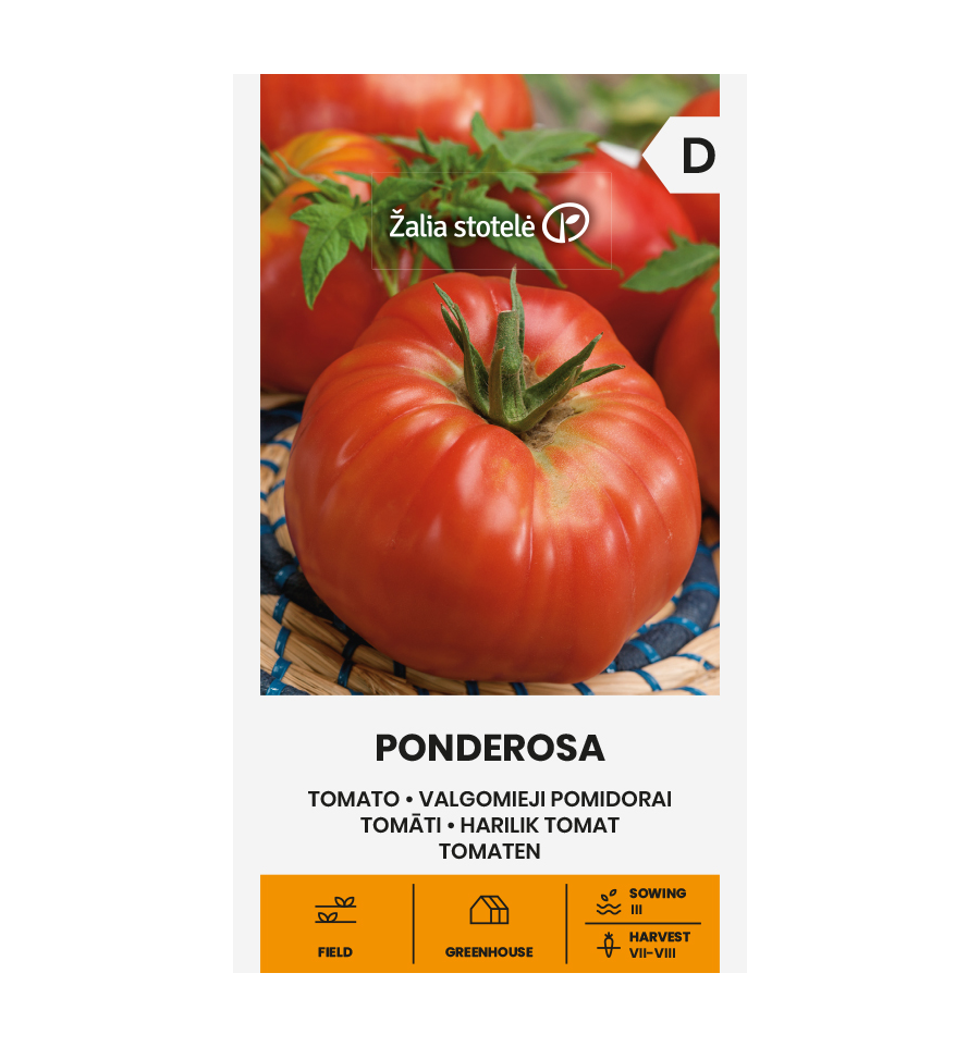TOMATO PONDEROSA