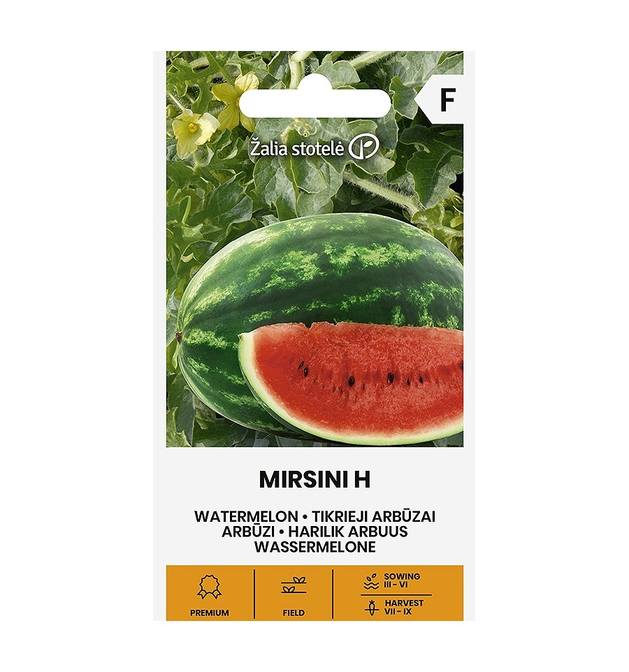 WATERMELON MIRSINI H