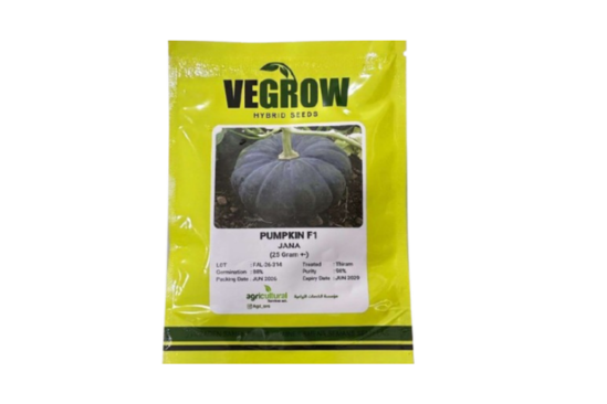 بذور قرع هجين F1 JAMA – Vegrow | 25 جرام ±
