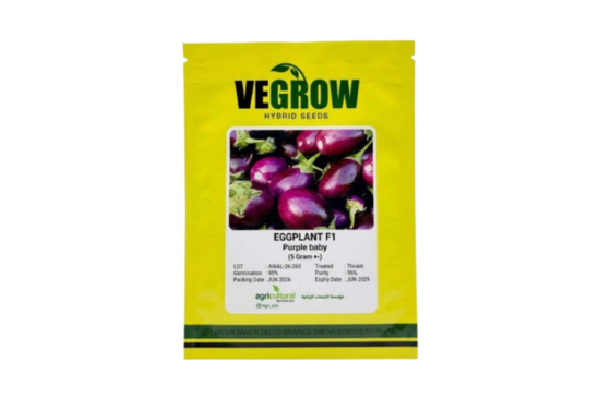 بذور باذنجان هجين F1 Purple Baby – Vegrow | 5 جرام ±