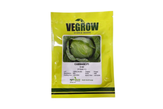 بذور ملفوف هجين F1 S60 – Vegrow | 4 جرام+