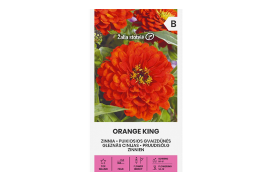 بذور زينيا أورانج كينج – Orange King
