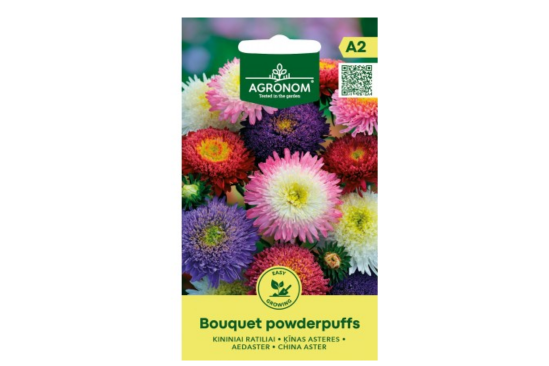 بذور أستر صيني Bouquet Powderpuffs متعددة الألوان