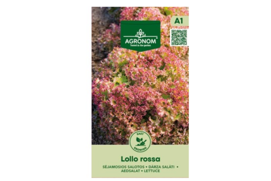 بذور الخس الأحمر المجعد Lollo Rossa