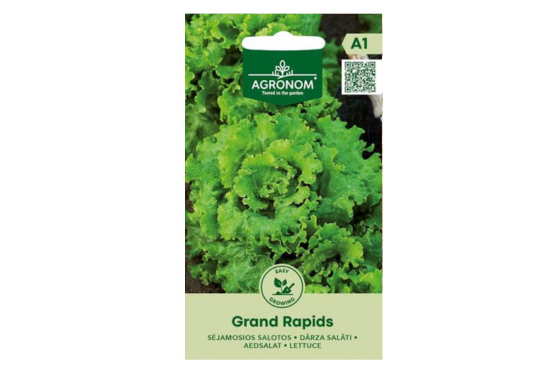 بذور الخس الورقي Grand Rapids
