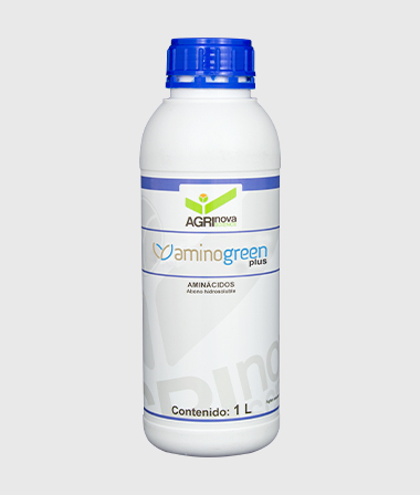 أمينوجرين بلس  AMINOGREEN PLUS