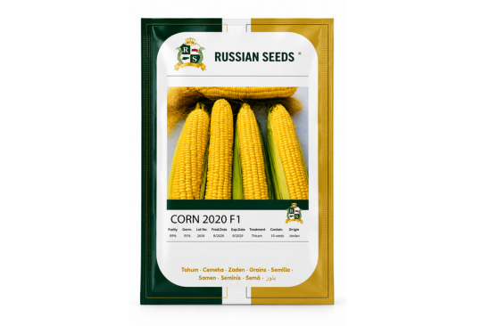 بذور الذرة الحلوة CORN 2020 F1