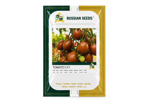 Russian Seeds Tomato 5 F1