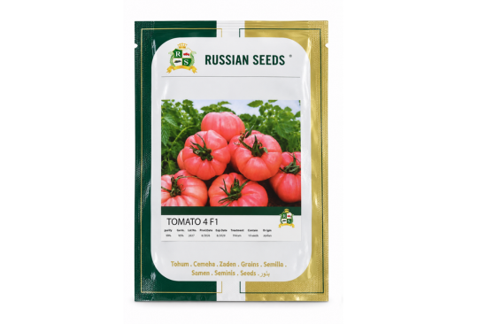 بذور طماطم بيف ستيك TOMATO 4 F1